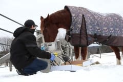 Contractor installing Rizer-Line self-regulating heating cable to livestock drinking bowl at farm in winter